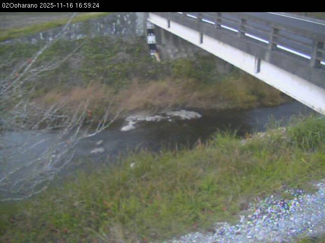 最新監視カメラ画像