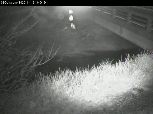 最新監視カメラ画像