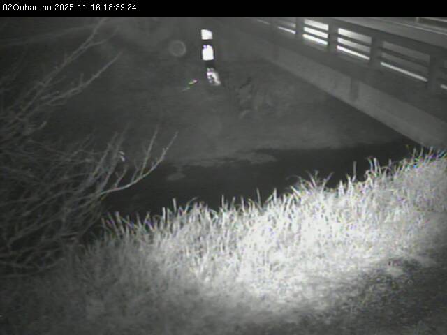 最新監視カメラ画像