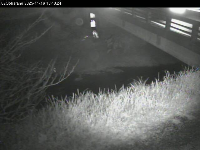 最新監視カメラ画像