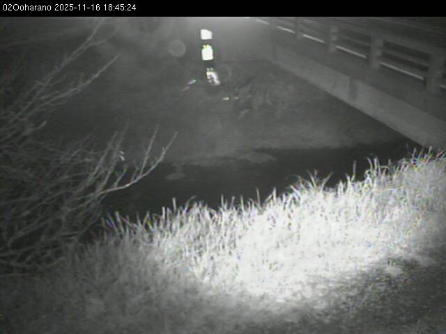 最新監視カメラ画像