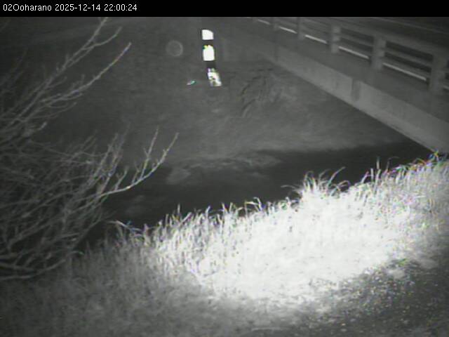 最新監視カメラ画像