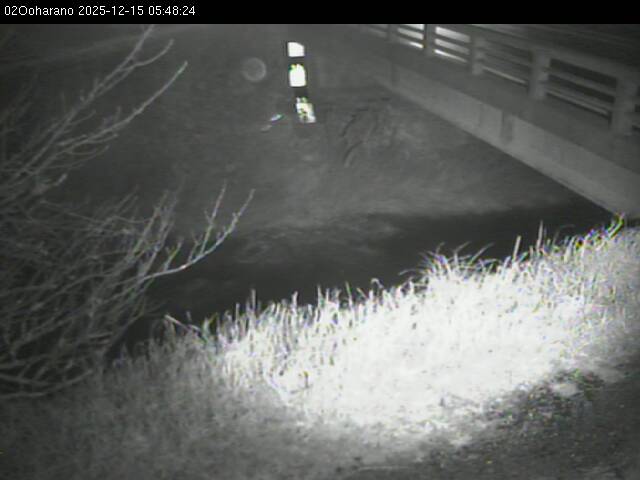 最新監視カメラ画像