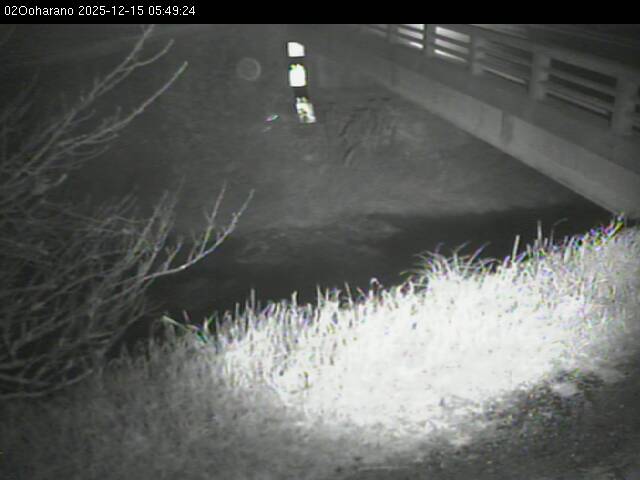 最新監視カメラ画像