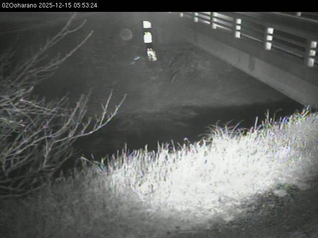 最新監視カメラ画像