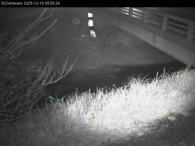 最新監視カメラ画像