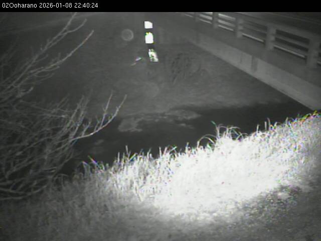 最新監視カメラ画像