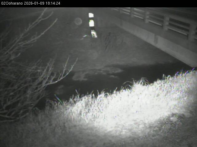 最新監視カメラ画像