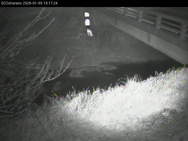 最新監視カメラ画像