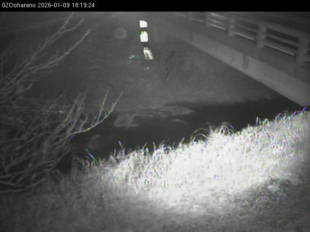 最新監視カメラ画像