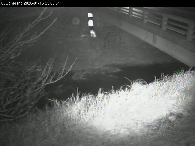 最新監視カメラ画像