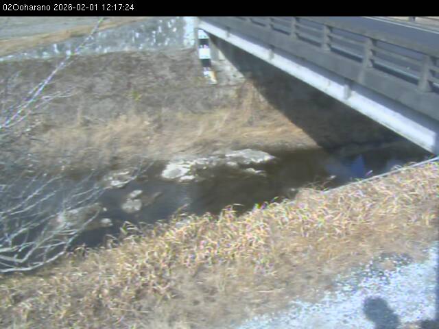 最新監視カメラ画像