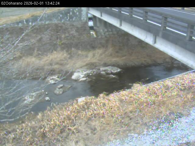 最新監視カメラ画像