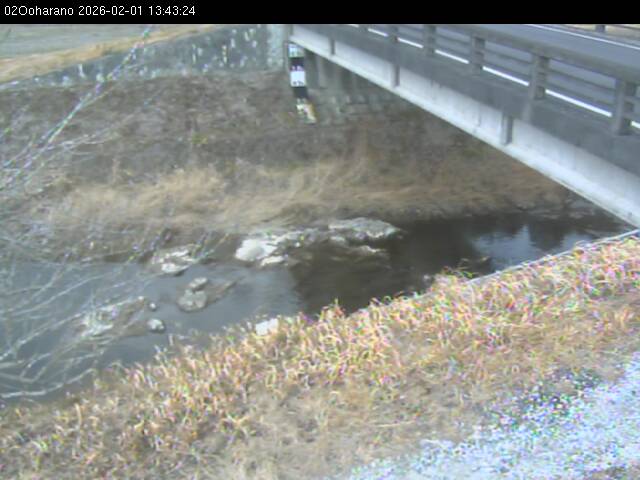 最新監視カメラ画像