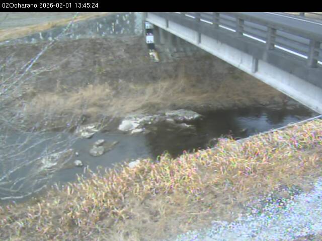 最新監視カメラ画像