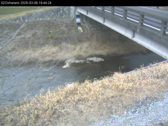 最新監視カメラ画像