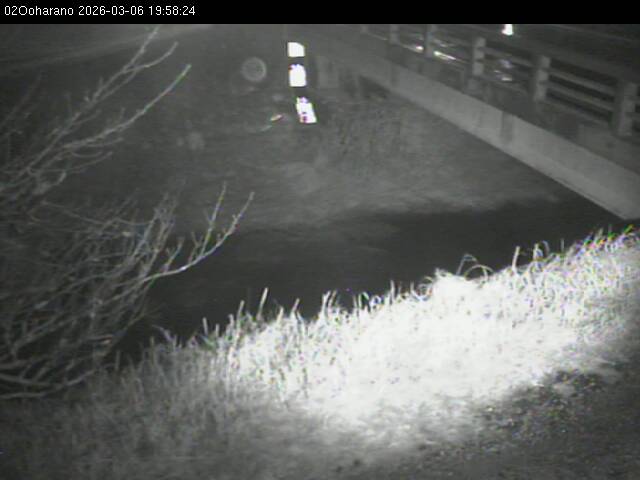 最新監視カメラ画像