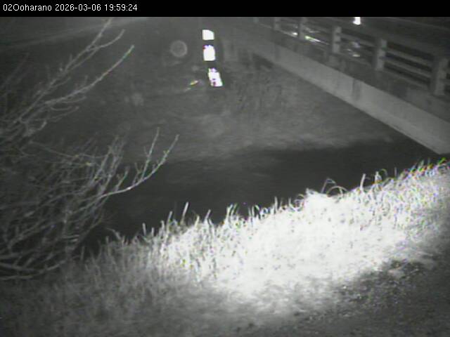 最新監視カメラ画像