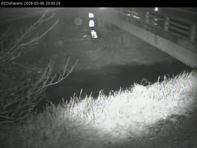 最新監視カメラ画像