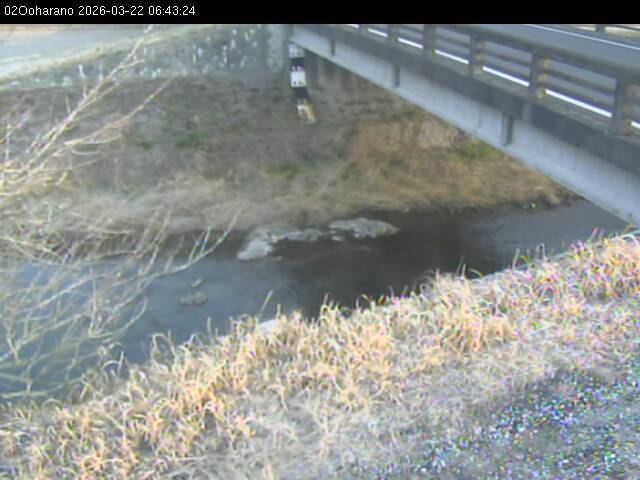 最新監視カメラ画像