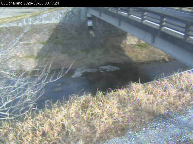 最新監視カメラ画像