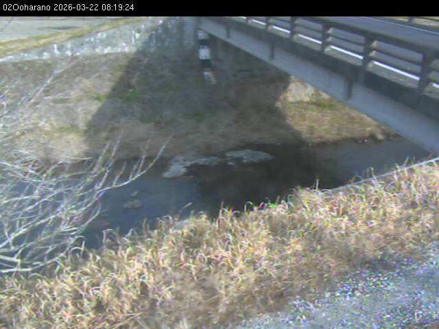 最新監視カメラ画像