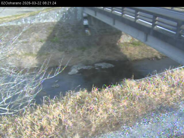 最新監視カメラ画像