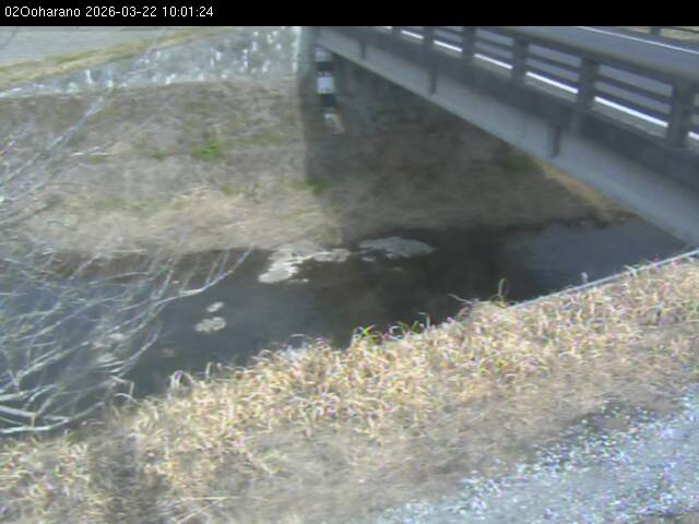 最新監視カメラ画像