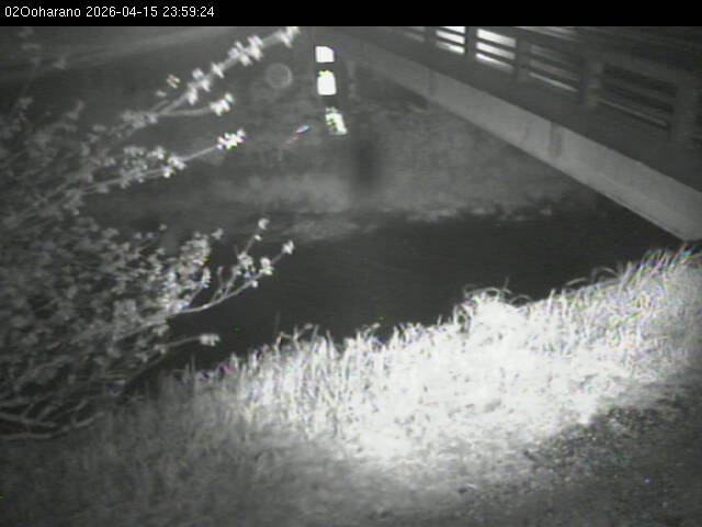 最新監視カメラ画像