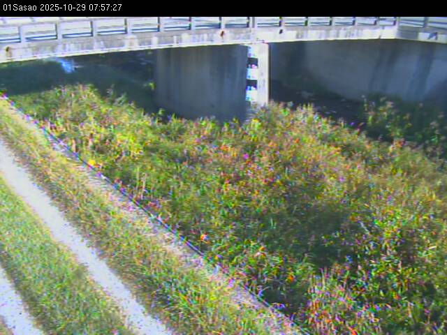 最新監視カメラ画像