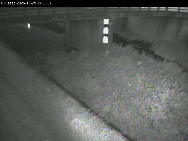 最新監視カメラ画像