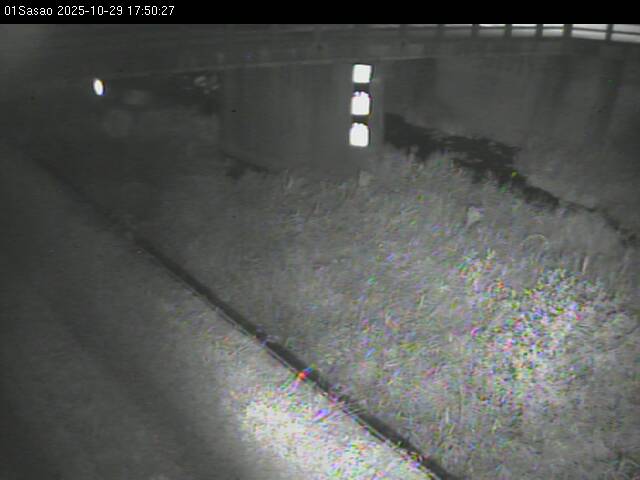 最新監視カメラ画像