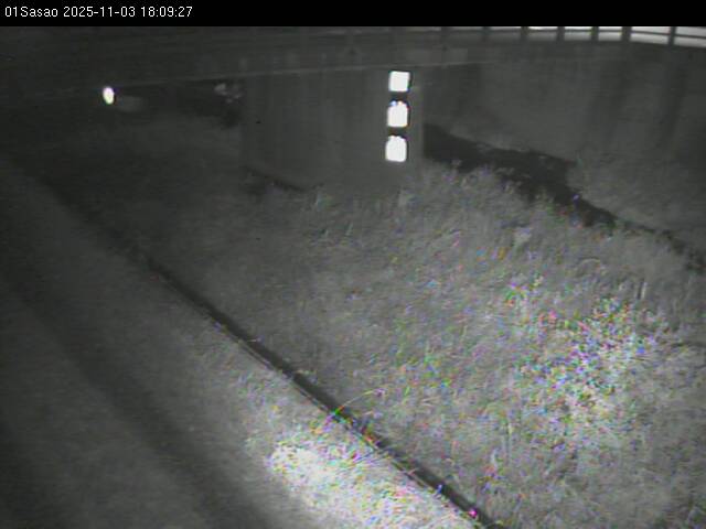 最新監視カメラ画像