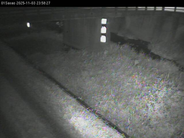 最新監視カメラ画像