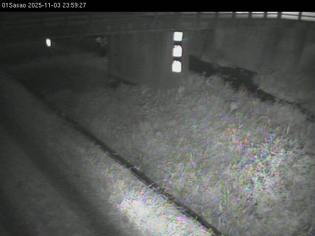 最新監視カメラ画像