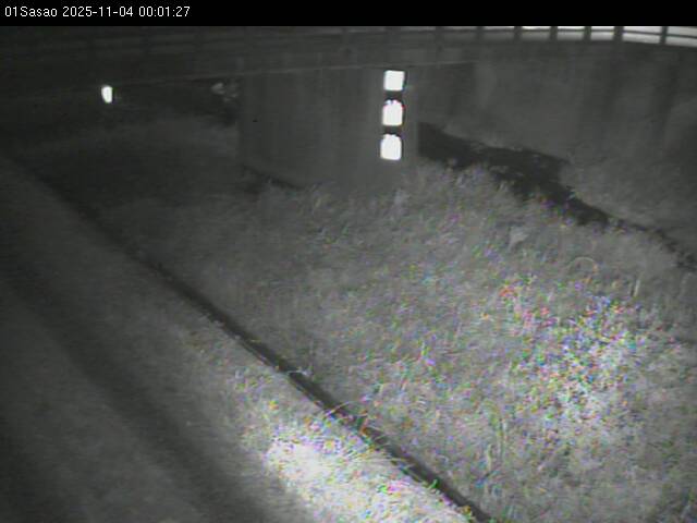 最新監視カメラ画像