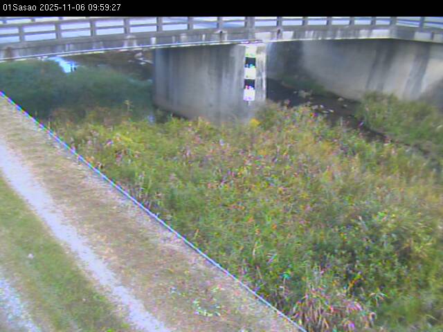 最新監視カメラ画像