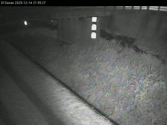 最新監視カメラ画像