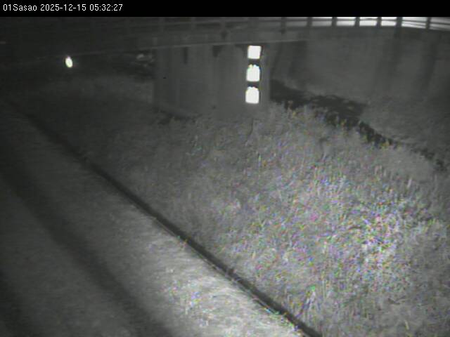 最新監視カメラ画像