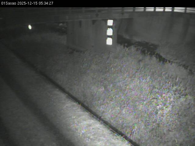 最新監視カメラ画像