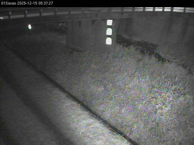 最新監視カメラ画像