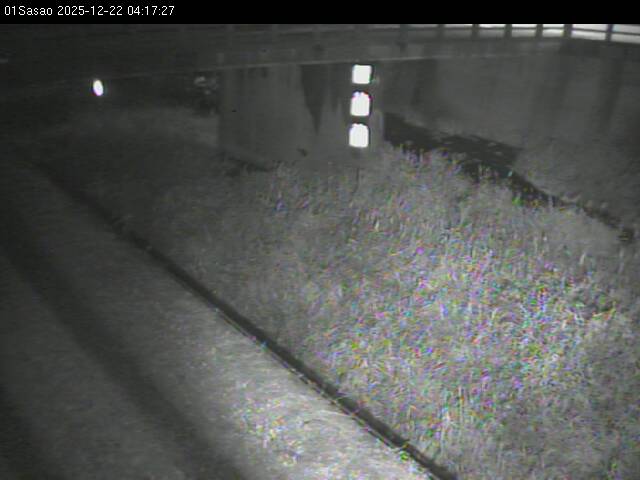 最新監視カメラ画像