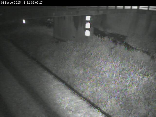 最新監視カメラ画像