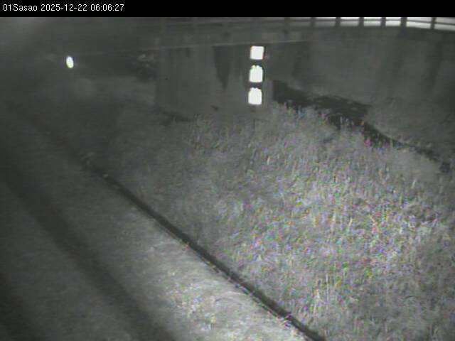 最新監視カメラ画像