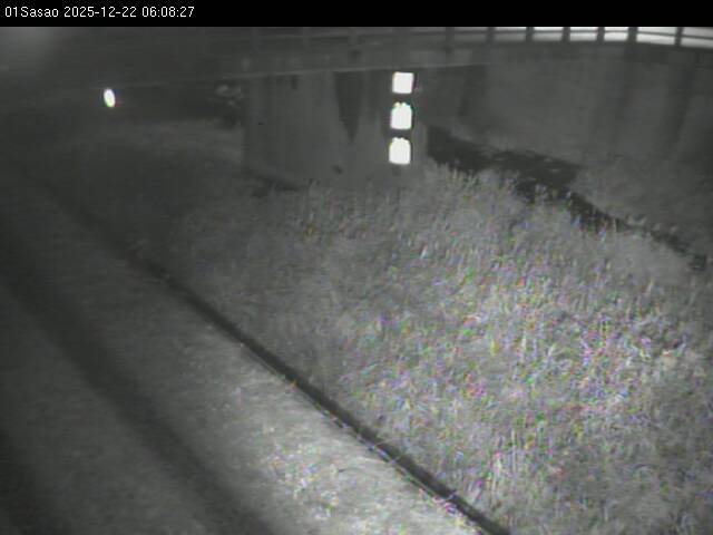 最新監視カメラ画像