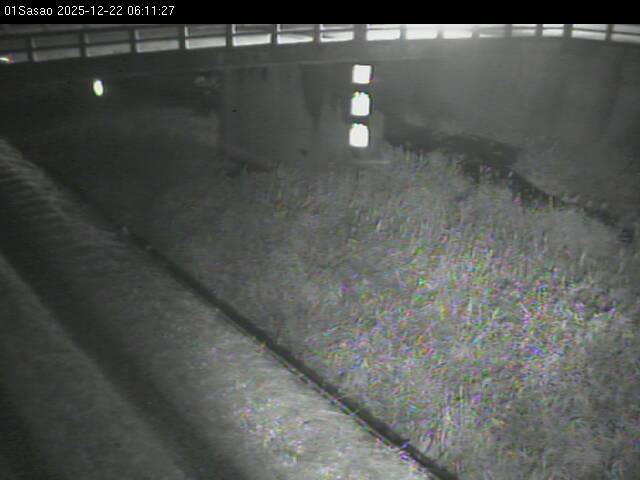 最新監視カメラ画像