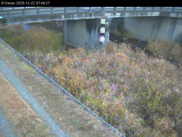 最新監視カメラ画像