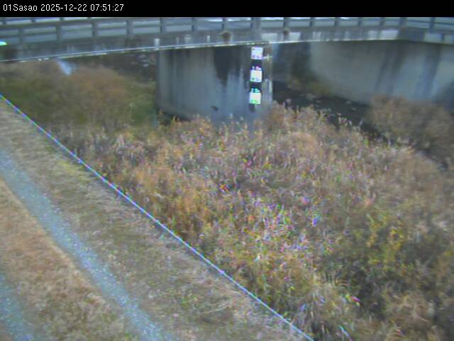 最新監視カメラ画像