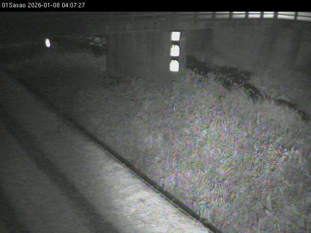 最新監視カメラ画像