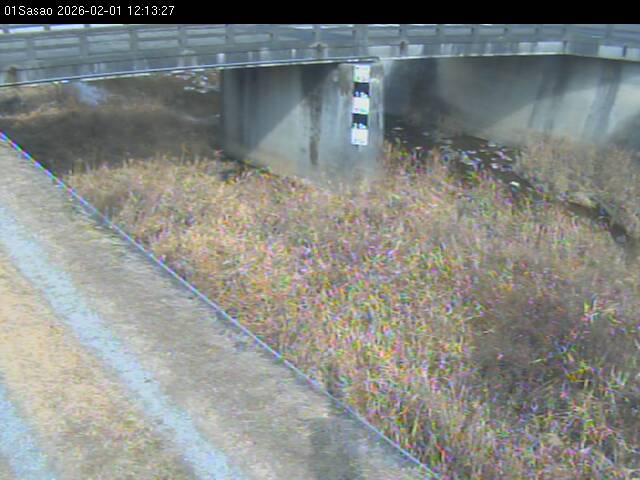 最新監視カメラ画像